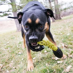 KONG Jaxx Braided Tug Tough Large Interactive Dog Toy New