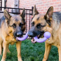 Generic KONG Ogee Stick - Safe Fetch Toy for Dogs - Floats in Water Hot