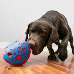 KONG Rewards Wally Interactive Food Dispender Dog Slow Food Bowl Sale