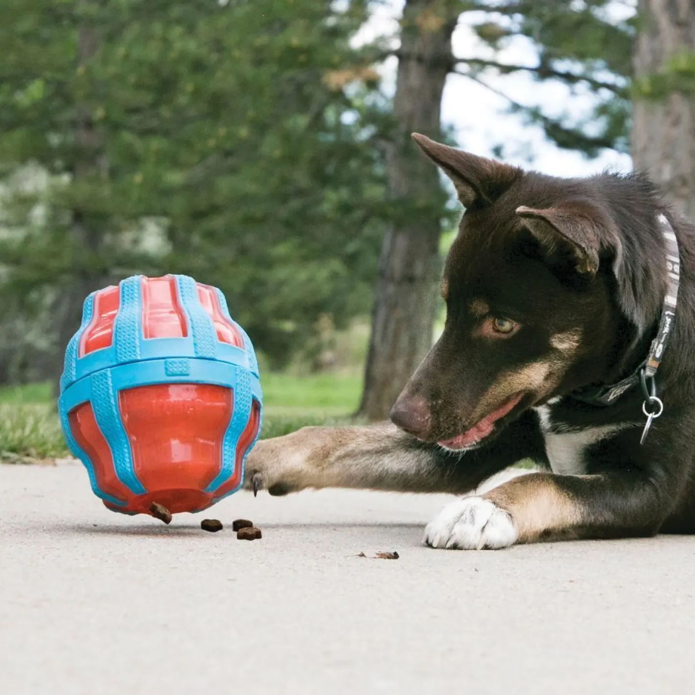 KONG Spinner NEW Interactive Treat Dispensing Dog Toy - Holds up to 4 Cups Online
