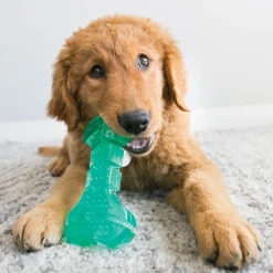 KONG Squeezz Dental Ball Rubber Dog Toy Best