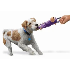 KONG Tugger Knots Tug & Fetch Dog Toy - Medium/Large Frog Sale