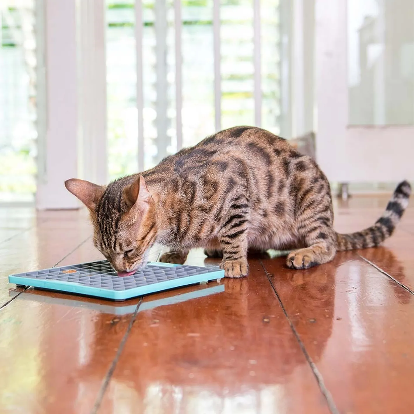 Lickimat Buddy Tuff Slow Food Bowl Anti Anxiety Licking Mat for Dogs Outlet