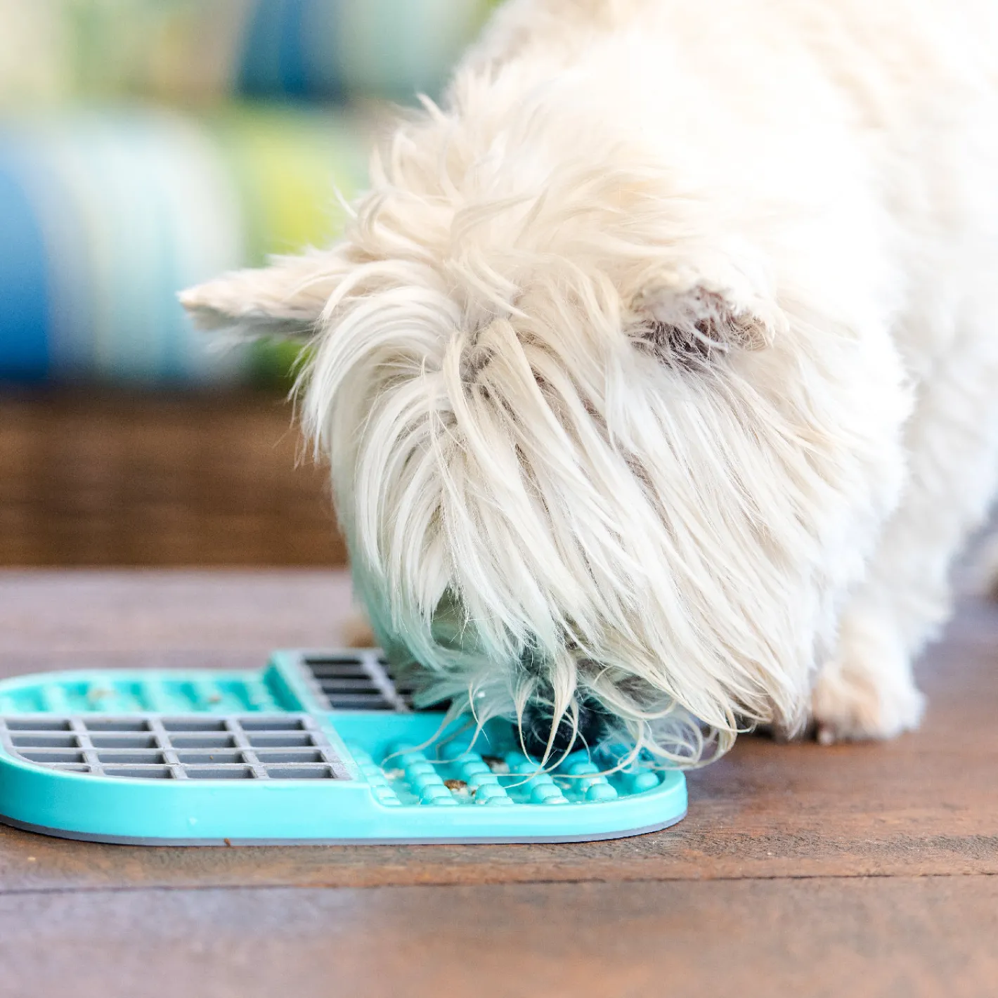 Lickimat Slomo Wet & Dry Double Slow Food Dog Bowl Discount