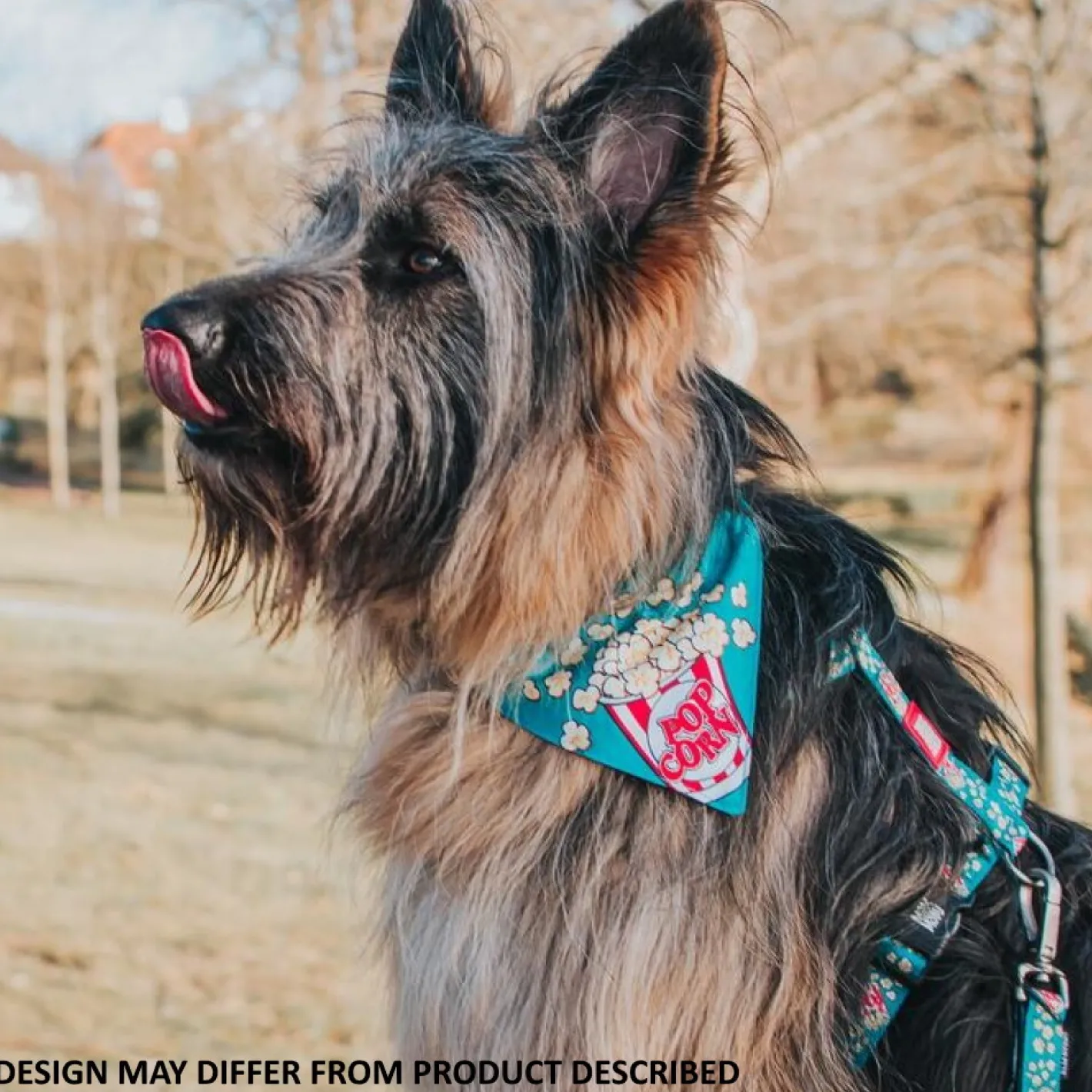 Max & Molly Bandana for Cats & Dogs - Magical Sale