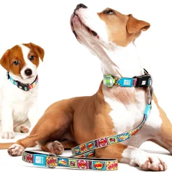 Max & Molly Dog Leash - Comic Sale