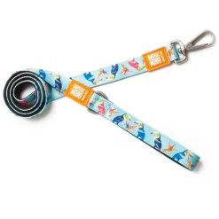 Max & Molly Dog Leash - Paradise Clearance