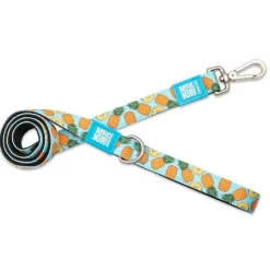 Max & Molly Dog Leash - Sweet Pineapple Online
