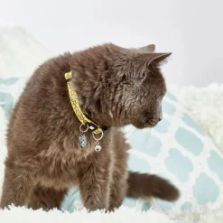 Max & Molly Smart ID Cat Collar - Monkey Maniac New