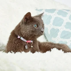 Max & Molly Smart ID Cat Collar - Cherry Bloom Sale