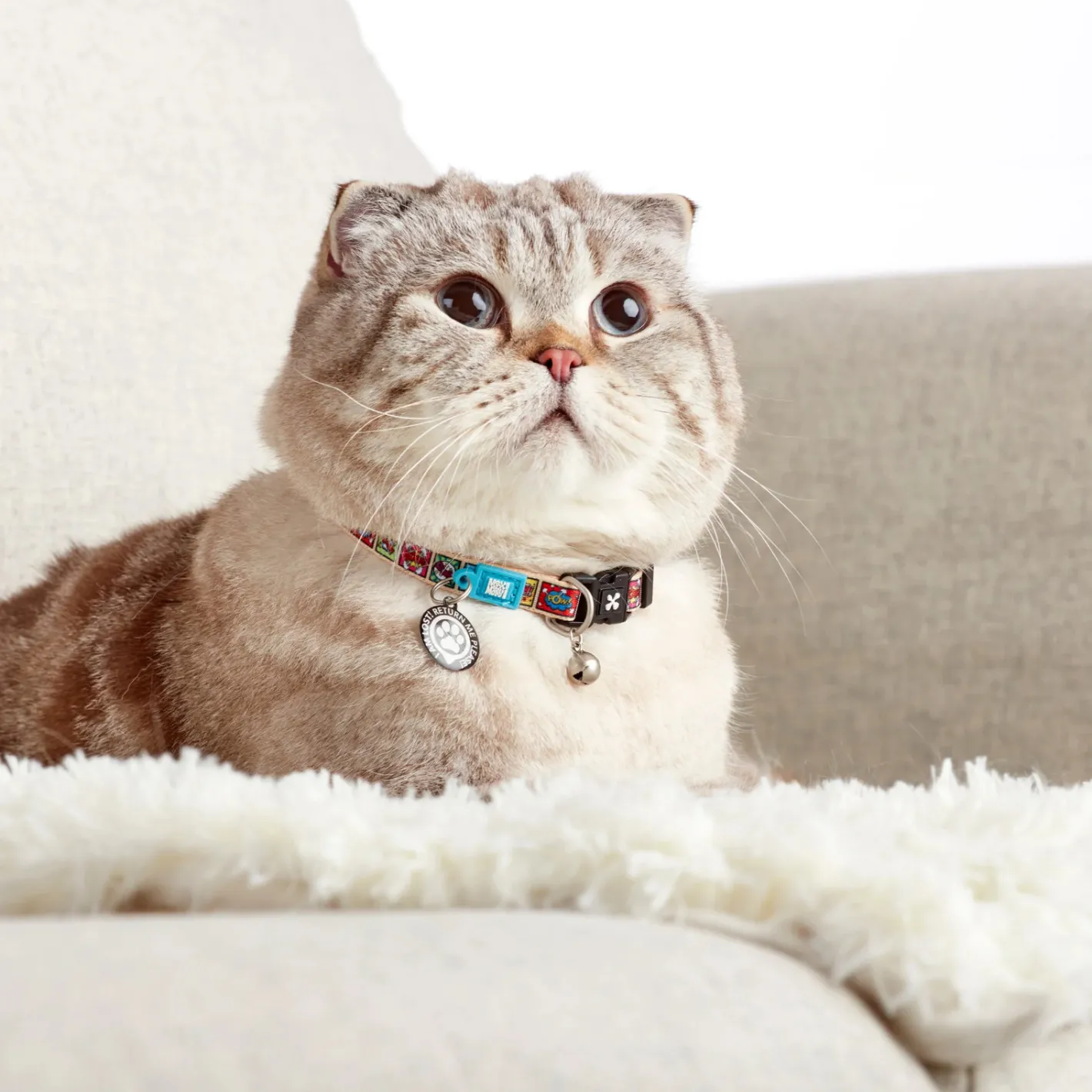 Max & Molly Smart ID Cat Collar - Comic Outlet