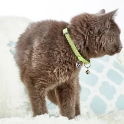Max & Molly Smart ID Cat Collar - Kiwi Fashion