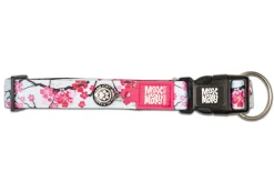 Max & Molly Smart ID Dog Collar - Cherry Bloom Sale