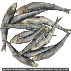 Meaty Treaty Freeze Dried Australian Whole Sardines Cat & Dog Treats 100g Sale