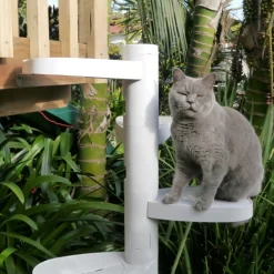 Monkee Tree - The Scalable Cat Climbing Ladder - 2 Step Kit Best