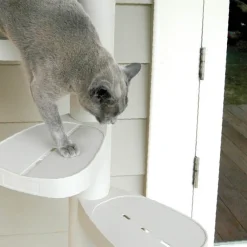 Monkee Tree - The Scalable Cat Climbing Ladder - 2 Step Kit Best