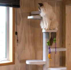 Monkee Tree - The Scalable Cat Climbing Ladder 12 Trunk Starter Pack Outlet