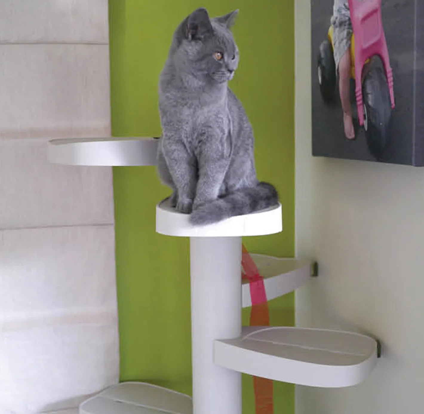 Monkee Tree - The Scalable Cat Climbing Ladder 12 Trunk Starter Pack in BLACK Outlet
