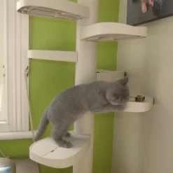 Monkee Tree - The Scalable Cat Climbing Ladder 18 Trunk Starter Pack Fashion
