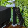 Monkee Tree Scratch Patch Wrap-Around Accessory for the Cat Climber Sale