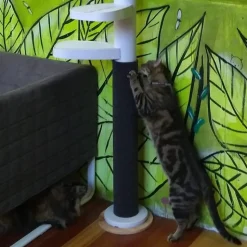 Monkee Tree Scratch Patch Wrap-Around Accessory for the Cat Climber Sale