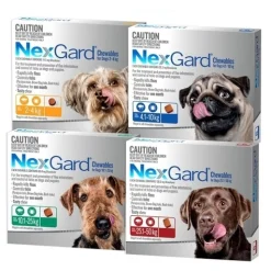 Nexgard Flea & Tick Chew for Dogs - 3 Pack Hot