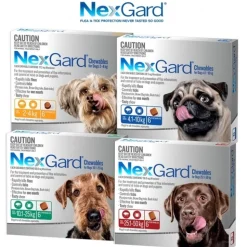 Nexgard Flea & Tick Chew for Dogs - 6 Pack Discount
