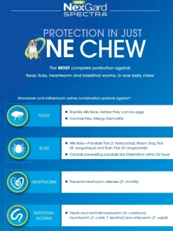 Nexgard Spectra Flea, Tick, Heart & All-Wormer Chew for Dogs 15.1-30kg Sale