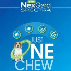 Nexgard Spectra Flea, Tick, Heart & All-Wormer Chew for Dogs 3.6-7.5kg Best