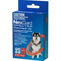 Nexgard Spectra Flea, Tick, Heart & All-Wormer Chew for Dogs 30.1-60kg Best