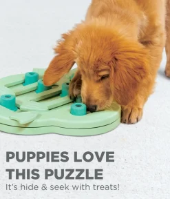 Nina Ottosson Hide & Slide Interactive Puzzle Dog Toy for Puppies - Level 2 Clearance