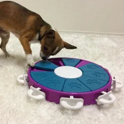 Nina Ottosson Interactive Treat Hiding Dog Toy Game - The Twister in Purple Best