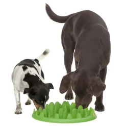 Northmate Green Interactive Slow Food Dog Bowl Sale