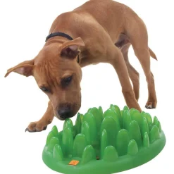 Northmate Green Interactive Slow Food Dog Bowl Sale