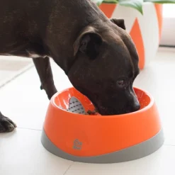 Lickimat Oh Bowl Slow Food Tongue Cleaning Dog Food Bowl - Orange Clearance
