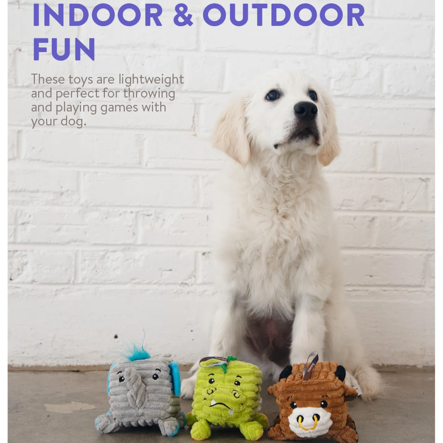 Outward Hound Cube-Eez 2-in-1 Squeaker Dog Toy - Gator Best