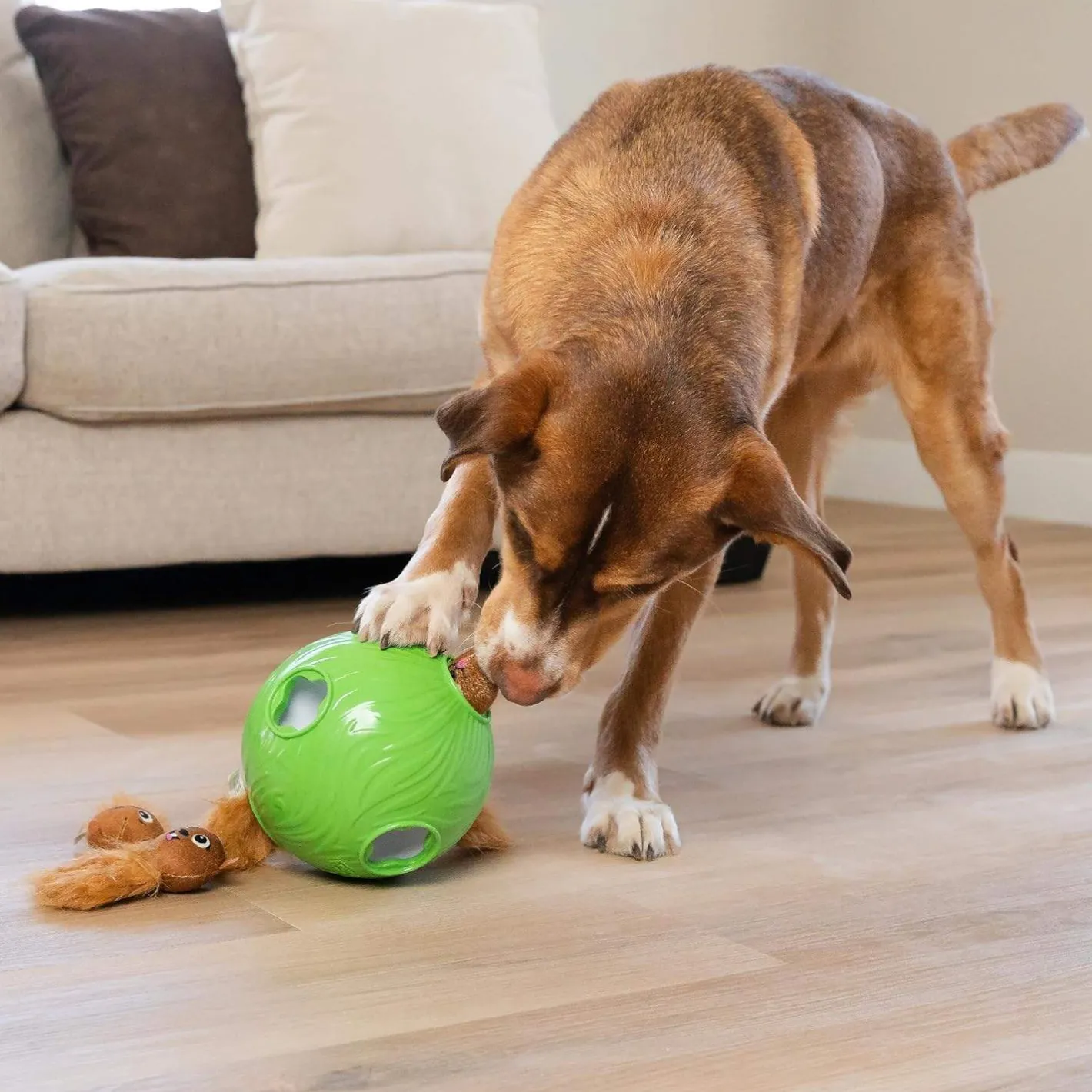 Outward Hound Dog Snuffle N' Treat Ball Puzzle with 6 Plush Chipmunks Online