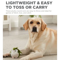 Outward Hound Durable Plush Dog Toy - Howling Hoots Online