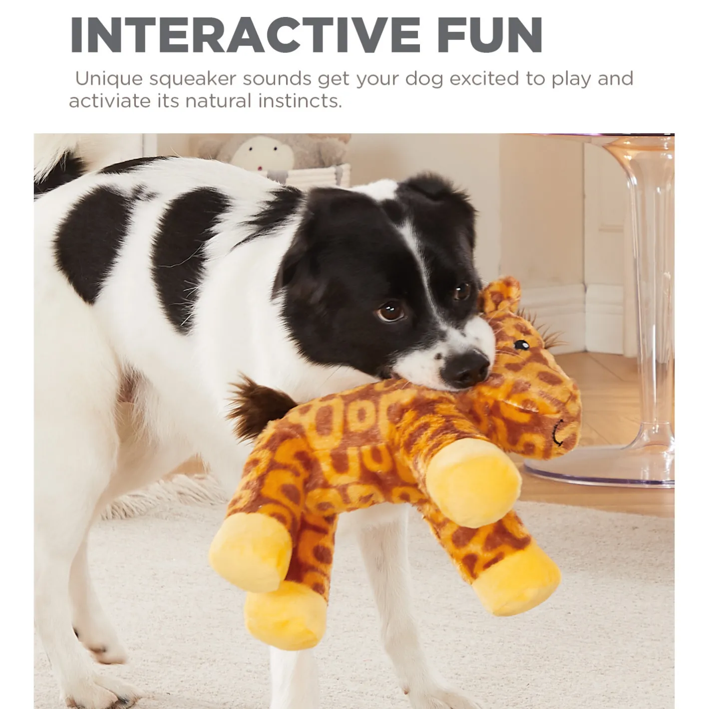 Outward Hound Grunt & Squeak Groovie Hoovies Dog Toy Sale