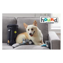 Outward Hound Hide A Raccoon Plush Dog Puzzle with 3 Squeaker Toys Best