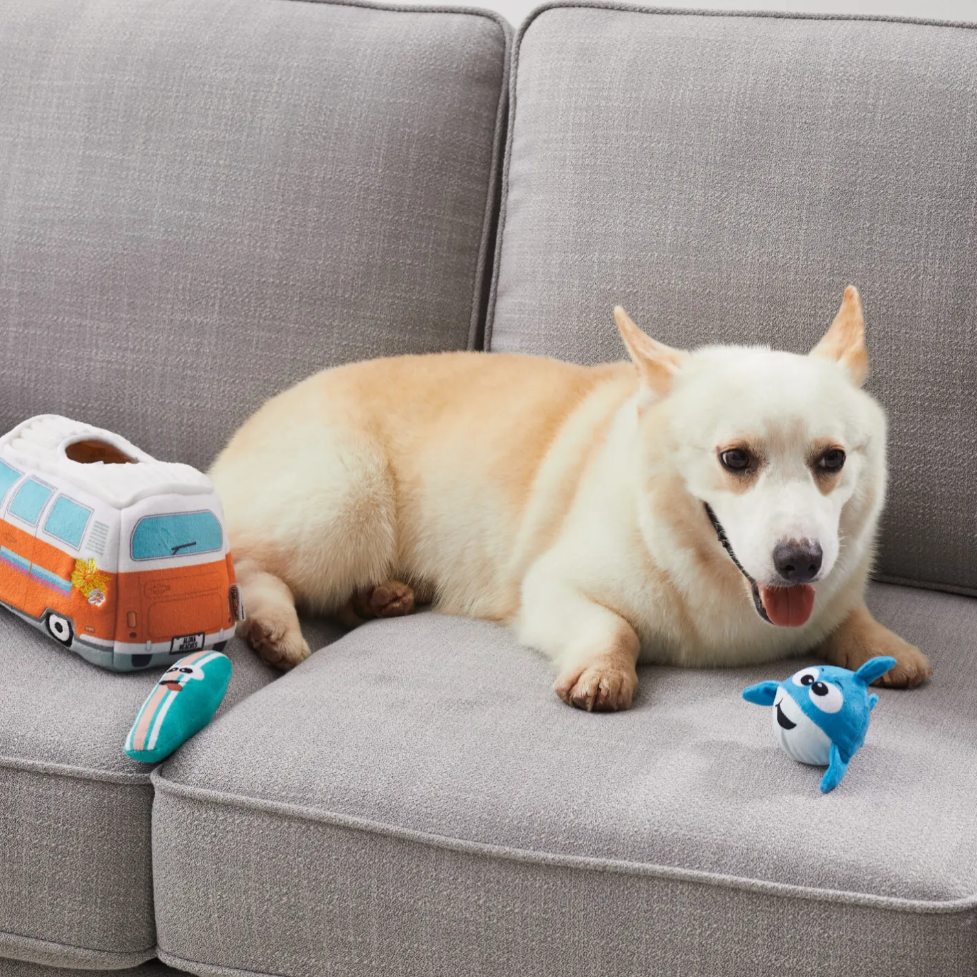 Outward Hound Hide A Surf Van Plush Dog Puzzle with 3 Squeaker Toys Clearance