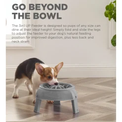 Outward Hound 3-in-1 Up Height Adjustable Dog Bowl Hot