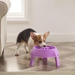 Outward Hound 3-in-1 Up Height Adjustable Dog Bowl Hot