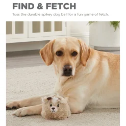 Outward Hound Reversi-Balls 2-in1- Plush & Ball Dog Toy - Antelope Online