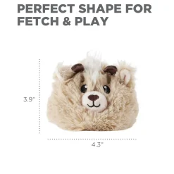 Outward Hound Reversi-Balls 2-in1- Plush & Ball Dog Toy - Antelope Online