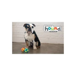 Outward Hound Tennis Max Fetch Dog Ball with Rubber Shell Hot