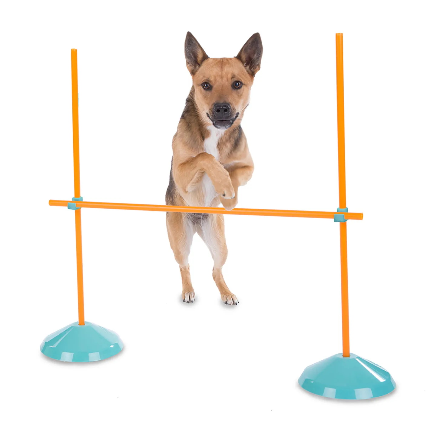 Outward Hound ZipZoom Indoor Agility Kit Dog Game Discount