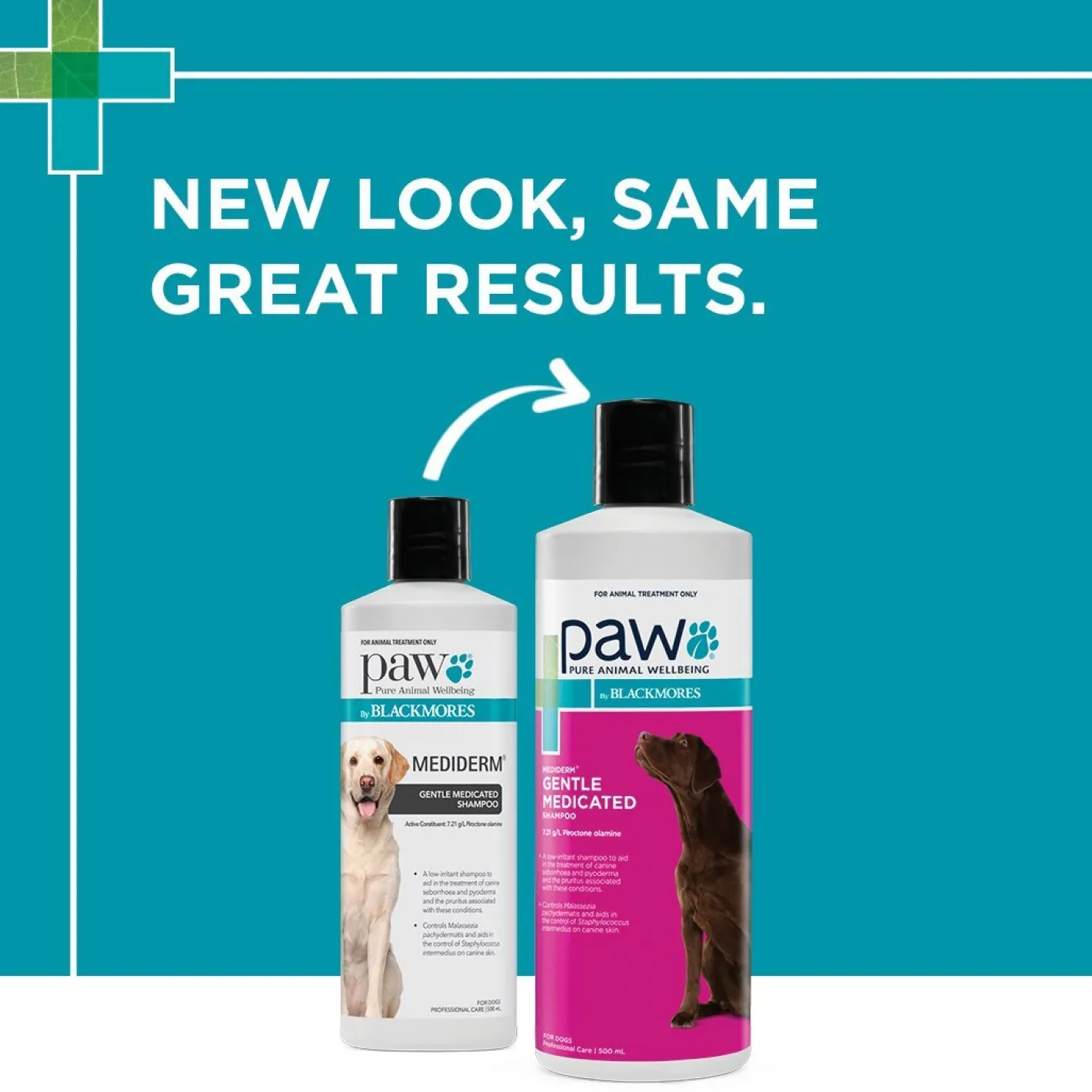 PAW by Blackmores MediDerm Gentle Medicated Shampoo for Dogs 200ml/500ml Clearance