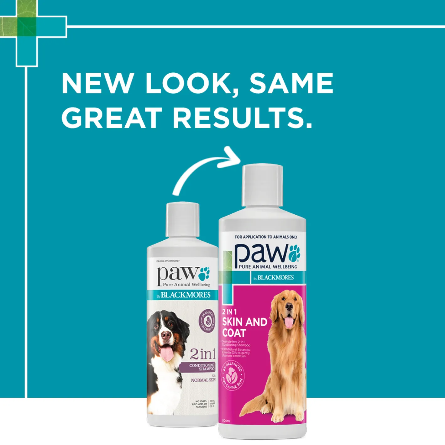 PAW by Blackmores PAW 2-in-1 Natural Conditioning Shampoo for Dogs - 500ml Online