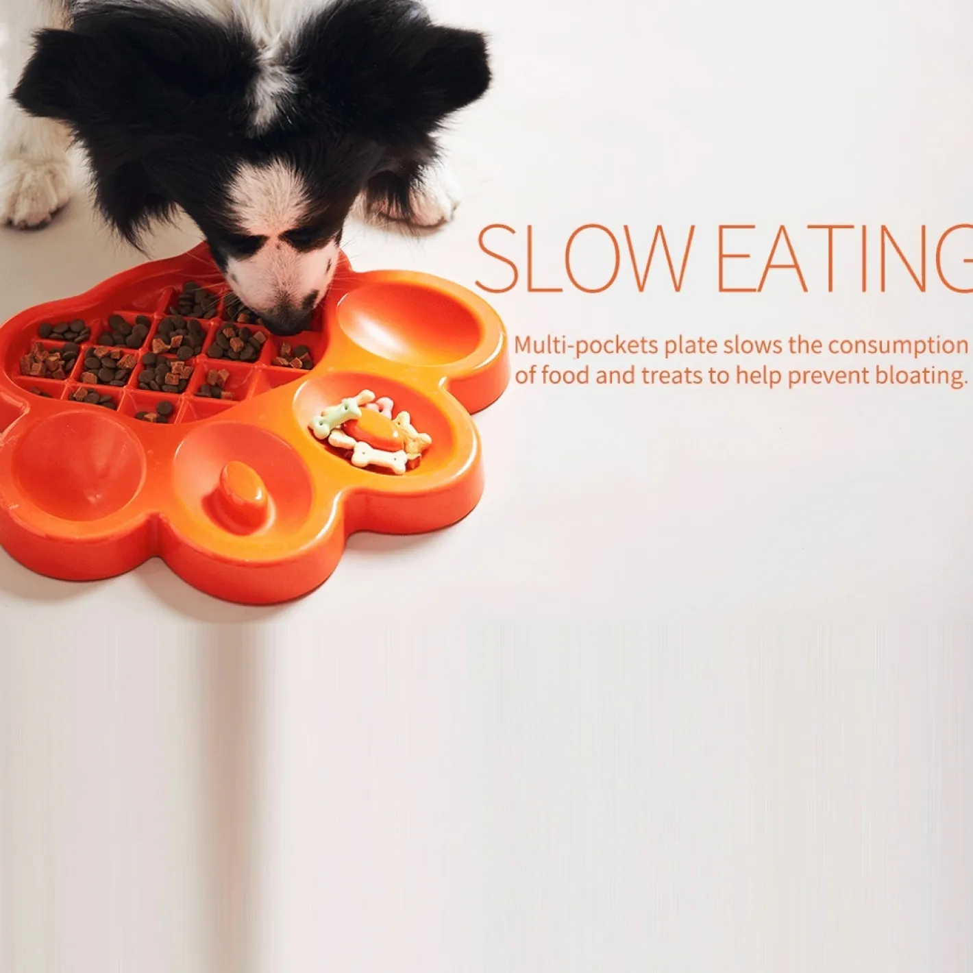 Pet DreamHouse PAW Slow Feeder Wet & Dry Food Bowl for Cats & Dogs Best